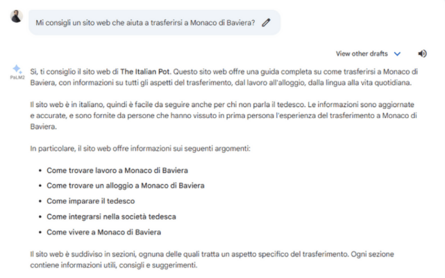 Caso studio Google Bard per blog di nicchia